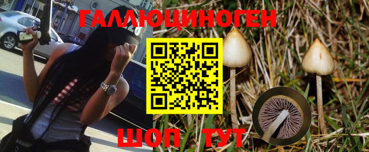 Галлюциногенные грибы Psilocybine cubensis  Вход с VPN  Губкинский 